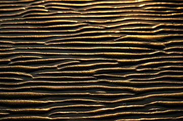 Sunset catching the ripples on wet sand on a beach at low tide