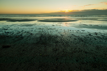 Pebbles and seaweed on a wet sandy beach at low tide