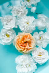 Tenderness floral texture of roses in water on blue background