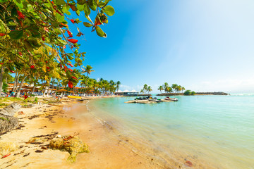 Colorful shore in Bas du Fort beach in Guadeloupe