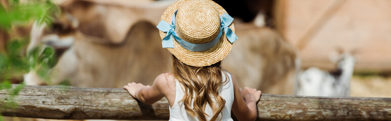 panoramic shot of child in straw hat standing near fence in zoo