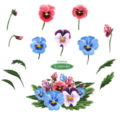 Single flowers, leaves and a bouquet of pansies isolated on a white background. 