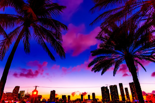 Palm trees with downtown Miami on the background on a purple sunset Stock  Photo | Adobe Stock