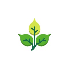 Birch tree leaf flat icon, vector sign, Plant leaves colorful pictogram isolated on white. Symbol, logo illustration. Flat style design