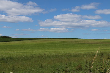 Obraz premium Scenic background with lush green field under blue sky in the countryside