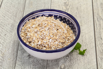 Raw oats in the bowl