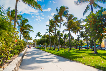 Obraz premium Pedestrian walkway in Lummus Park in Miami Beach
