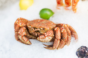 Whole crab on ice at market