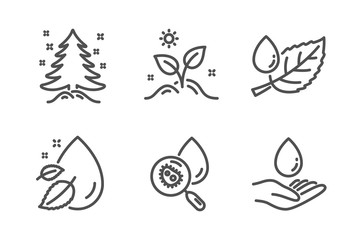 Leaf dew, Water drop and Grow plant icons simple set. Christmas tree, Water analysis signs. Serum oil, Leaves. Nature set. Line leaf dew icon. Editable stroke. Vector