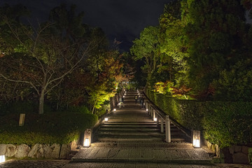 知恩院 ライトアップされた参道の石段