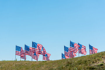 american flags with straws and stripes on green grass against blue sky