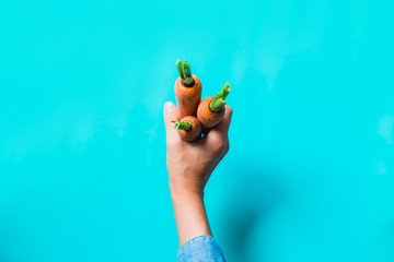 A bunch of fresh carrots in hand on blue background.