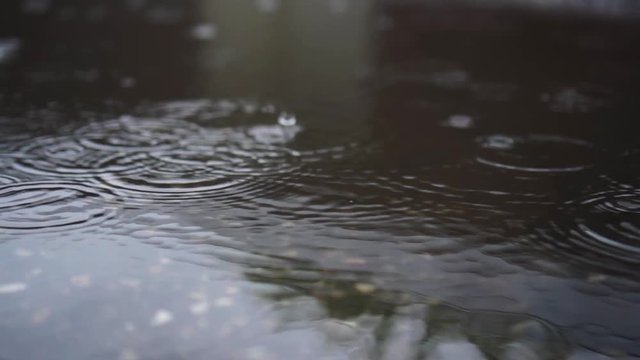 raindrops fall into a puddle in the city