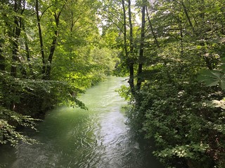 Obraz premium river in forest
