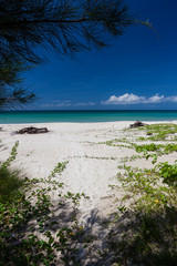 Empty paradise beach at Borneo Malaysia