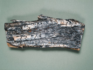 flat lay of charred log on solid background