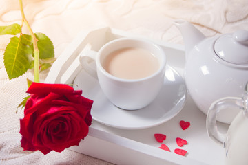 Fototapeta na wymiar Close up of cup of tea with red rose on the white tray