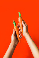 A bunch of fresh carrots in hand on red background.