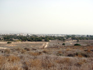 Panorama of poor vegetation on the coastal saline lands on the background of residential areas of...