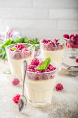 Panna cotta dessert with raspberry