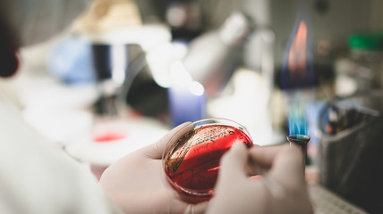 scientist in laboratory