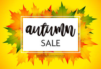 Autumn sale flyer design with yellow background. Text in frame with bunch of orange and green maple leaves. Vector illustration can be used for banners, posters, ads, promo
