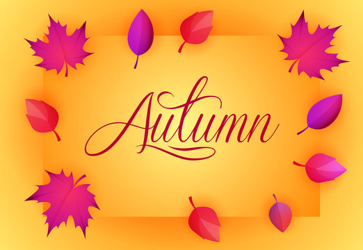 Autumn yellow greeting card design. Calligraphic text with on card with purple fall leaves. Vector illustration can be used for banners, brochures, posters