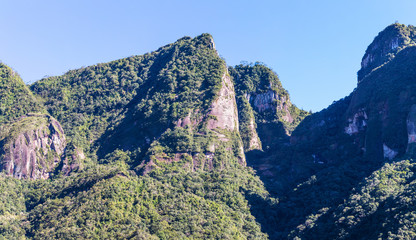 Montanha com floresta