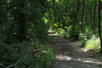 Wege durch das Land Nr.  13