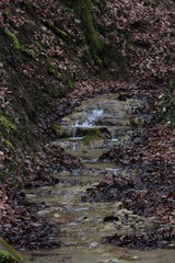 waterfall in the forest in winter