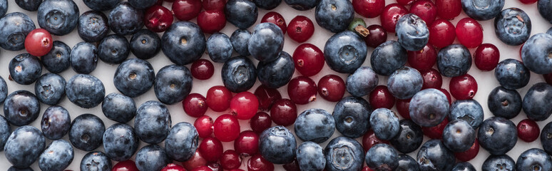 panoramic shot of red, fresh and ripe cranberries and whole blueberries