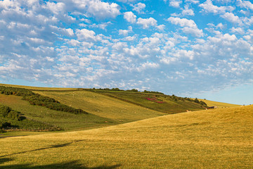 Rolling hills in the Sussex countryside on a sunny summers morning
