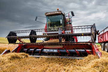 Fototapeta premium moissoneuse bateuse en gros plan avant l'arrivée de la pluie