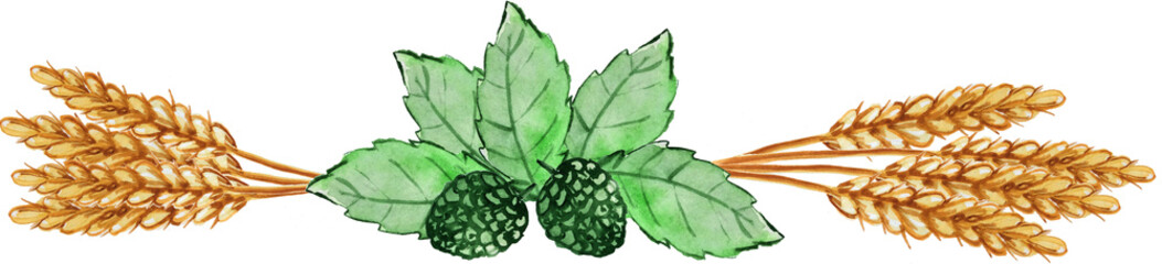 ears of wheat and hops on a white background. watercolor illustration for posters, prints, cards