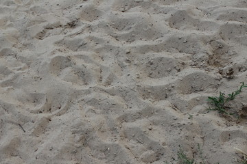 texture of sand