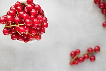 Fresh red currants in a white bowl on a gray background. Top view.