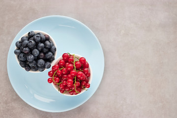 Fresh berries in white bowls on a blue plate and gray background. Blueberries and red currants. Top view.