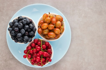Fresh berries in white bowls on a blue plate and gray background. Blueberries, gooseberries and red currants. Top view.