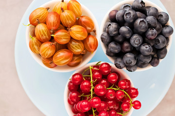Fresh berries in white bowls on a blue plate and gray background. Blueberries, gooseberries and red currants. Top view.