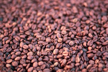 coffee beans background