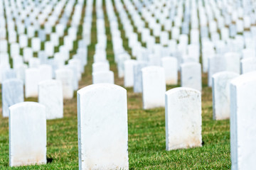 Obraz premium Golden Gate National Cemetery, San Bruno, California, USA.