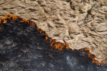 Aerial view of the texture of burning dry grass. Disaster in the forest. Fires in the summer....