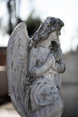 statue of an angel in cemetery