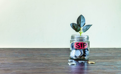 A glass jar full of coins and a plant growing through it. Concept image showing investment via...