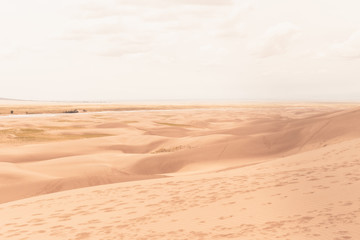 Desert in Sand Dunes 