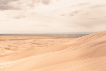Fototapeta na wymiar Desert in Sand Dunes 
