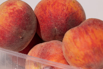 Juicy peaches in a plastic container on a white background in su