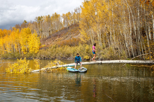 A man and a woman enjoying an afternoon on their inflatable stand up paddle boards while SUPing among the aspen trees in an alpine lake in the San Juan Mountains, Colorado in autumn.