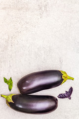 Fresh organic eggplants