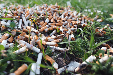 View of the pattern of scattered cigarette butts in the green grass on the meadow in the park of a big city. The problem of humanity. Smoking cigarettes, bad habit of man. Nicotine addiction. Garbage